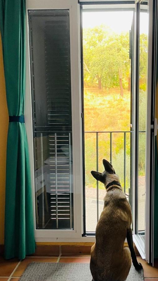 ארקנה Casa Rural Una Ventana A La Montana מראה חיצוני תמונה